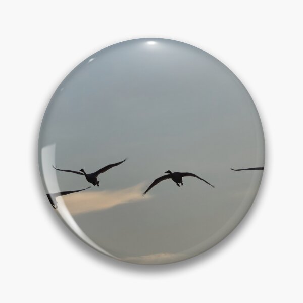 Item preview, Six times Whooper swan designed and sold by Jouko Lehto Photography.