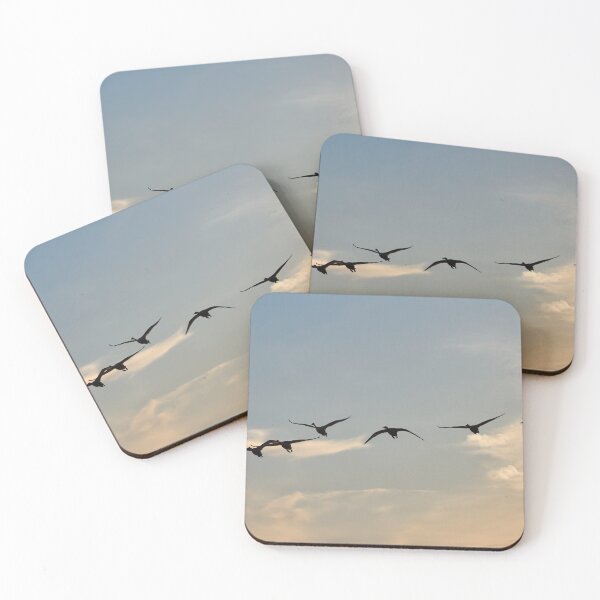 Item preview, Six times Whooper swan designed and sold by Jouko Lehto Photography.