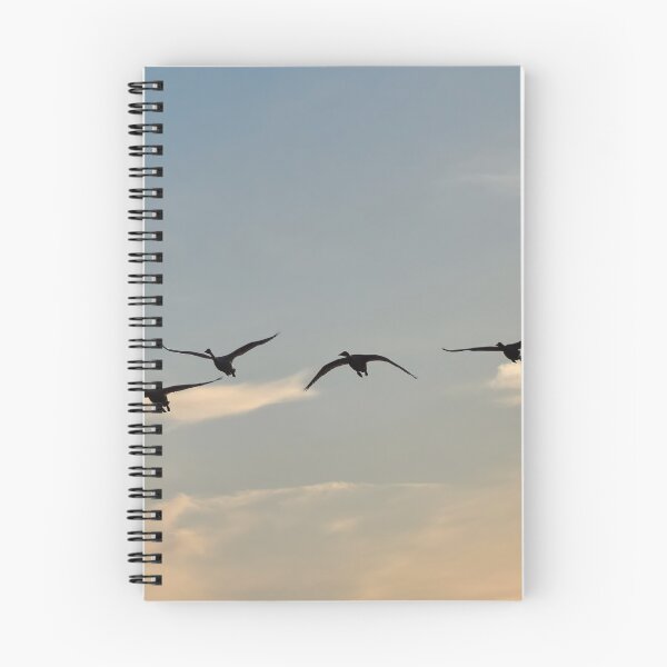 Item preview, Six times Whooper swan designed and sold by Jouko Lehto Photography.