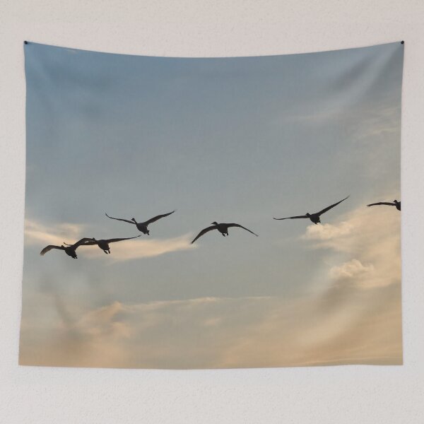 Item preview, Six times Whooper swan designed and sold by Jouko Lehto Photography.