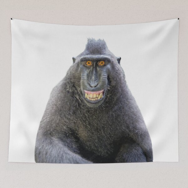 Item preview, Hey baby, how you doing? designed and sold by furrydrool.