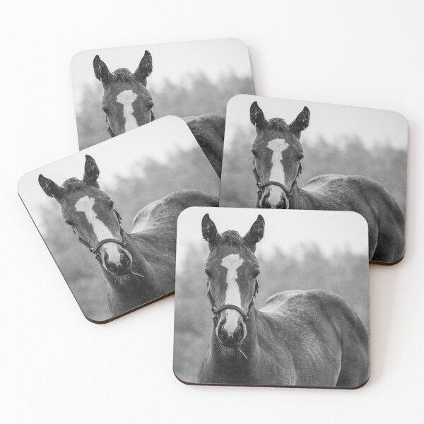 Item preview, Foal designed and sold by theartsyeq.