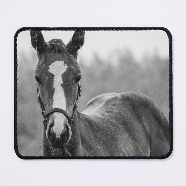 Item preview, Foal designed and sold by theartsyeq.