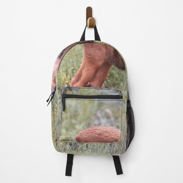 Item preview, Baby Moose Grand Teton NP Wyoming 2 designed and sold by PhotoArt by Joan Carroll.