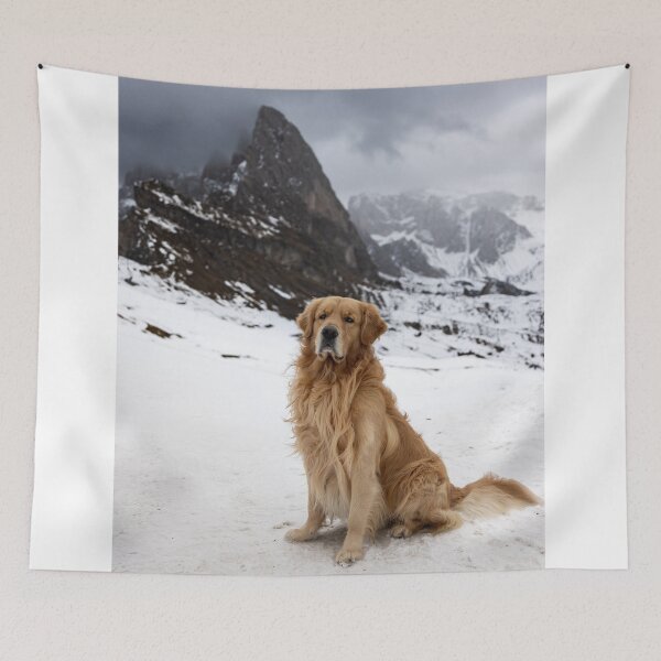 Item preview, Golden Retriever in the Italian Dolomites Seceda designed and sold by wklize.