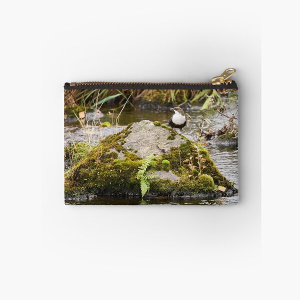 Item preview, On the river stone. White-throated dipper designed and sold by Jouko Lehto Photography.