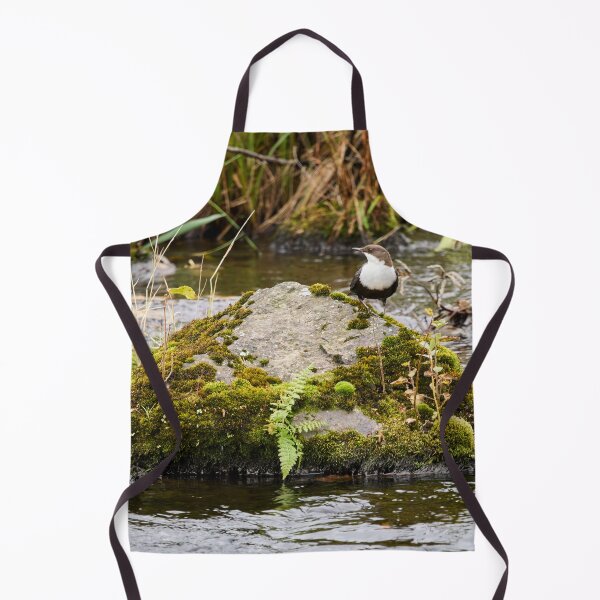 Item preview, On the river stone. White-throated dipper designed and sold by Jouko Lehto Photography.