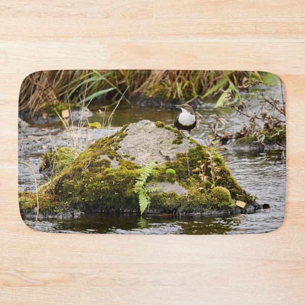 Item preview, On the river stone. White-throated dipper designed and sold by Jouko Lehto Photography.