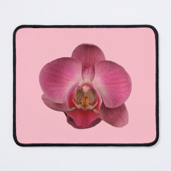 Item preview, Paris Poet Pink Orchid Small Single Flower Pastel Pink Background designed and sold by ParisPoet.