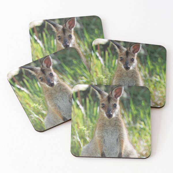 Item preview, Curious Wallaby in Queensland designed and sold by wklize.