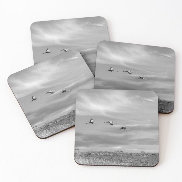 Item preview, Wattled Cranes In Flight In Black and White designed and sold by Kay Brewer.