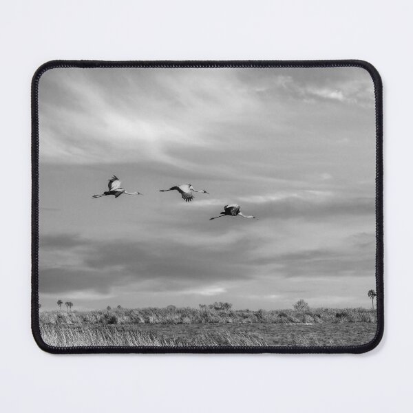Item preview, Wattled Cranes In Flight In Black and White designed and sold by Kay Brewer.