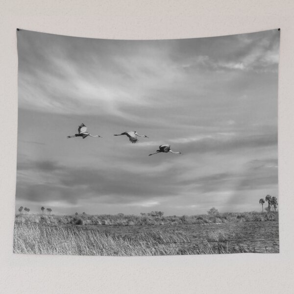 Item preview, Wattled Cranes In Flight In Black and White designed and sold by Kay Brewer.