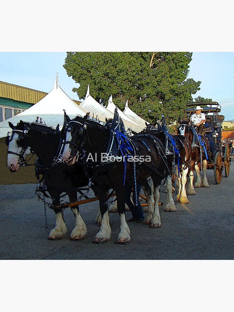 "Budweiser Clydesdales & Wagon" Canvas Print for Sale by alabca Redbubble