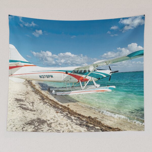 Item preview, Seaplane to the Dry Tortugas designed and sold by Kay Brewer.