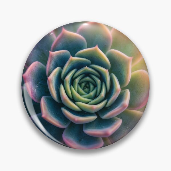 Item preview, Powdery Echeveria Succulent designed and sold by Tridentulus.