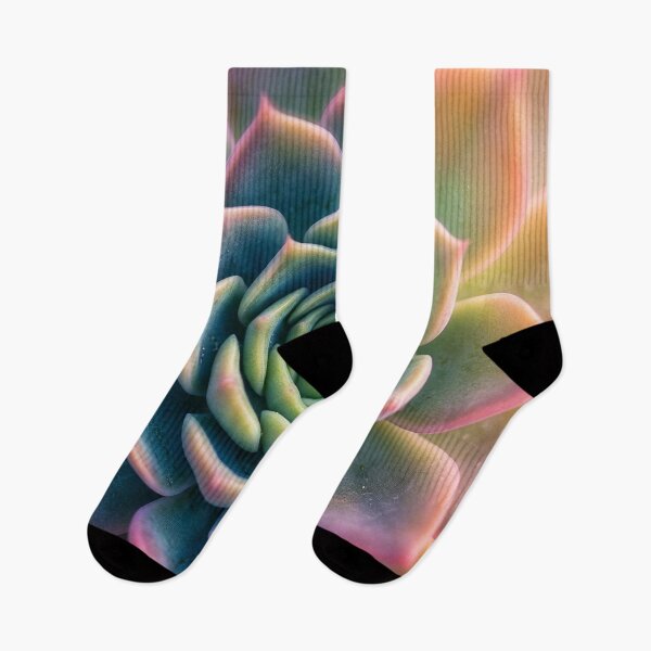 Item preview, Powdery Echeveria Succulent designed and sold by Tridentulus.
