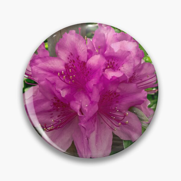 Item preview, Purple Flowers Growing on a Fence Post designed and sold by Domenica-Rosa.
