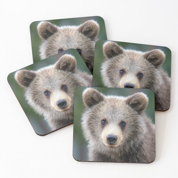 Item preview, Bear designed and sold by Savannah Gibbs.