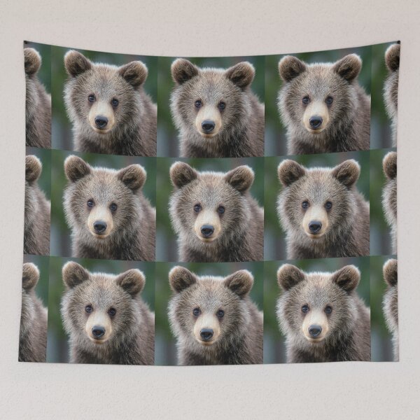 Item preview, Bear designed and sold by Savannah Gibbs.