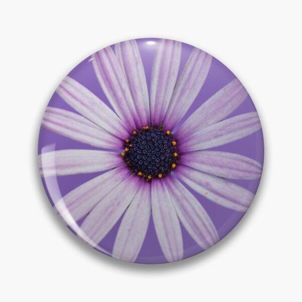 Item preview, Purple African Daisy Floral Design designed and sold by Barry Callister Photography.