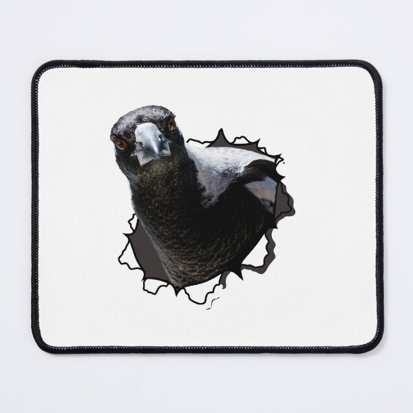 Item preview, Australian Magpie Bursting Through Black and White designed and sold by Barry Callister Photography.