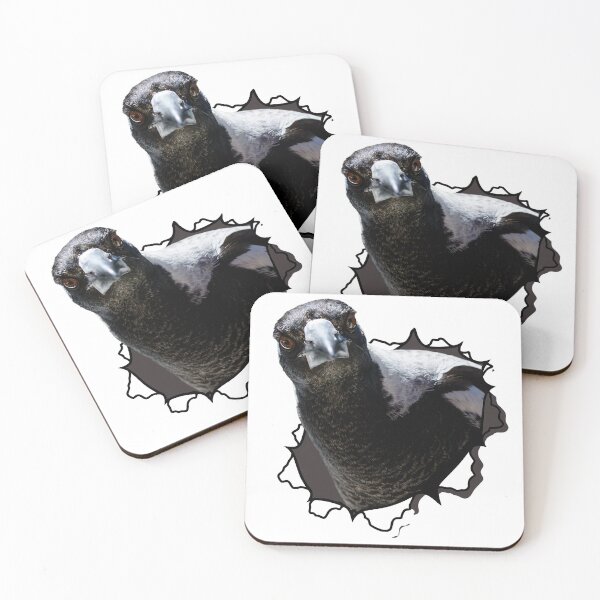 Item preview, Australian Magpie Bursting Through Black and White designed and sold by Barry Callister Photography.