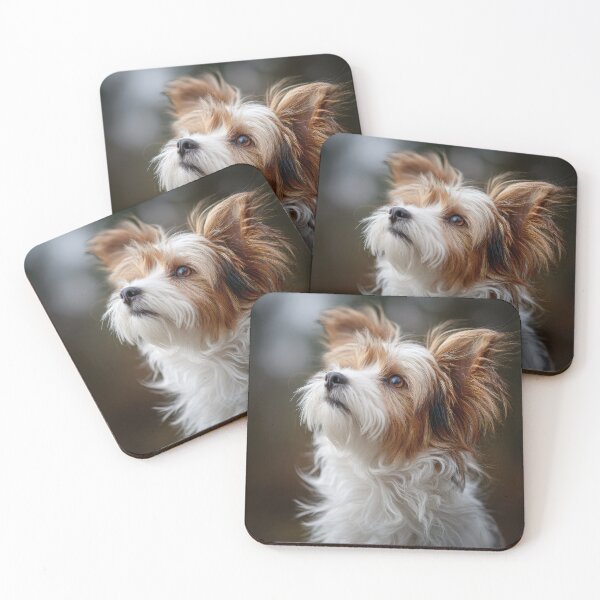Item preview, Cute Biewer Terrier designed and sold by Elisabeth Lucas.