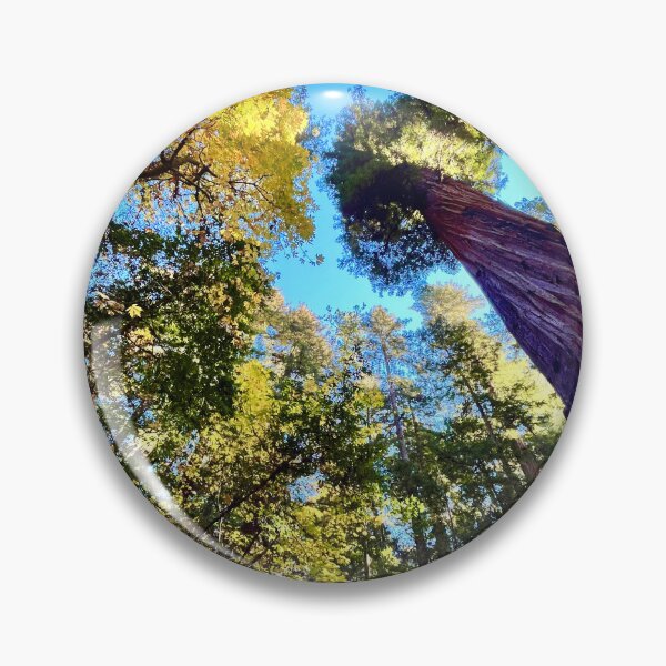 Item preview, Giant redwoods California designed and sold by Mark Malinowski.