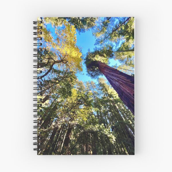 Item preview, Giant redwoods California designed and sold by Mark Malinowski.