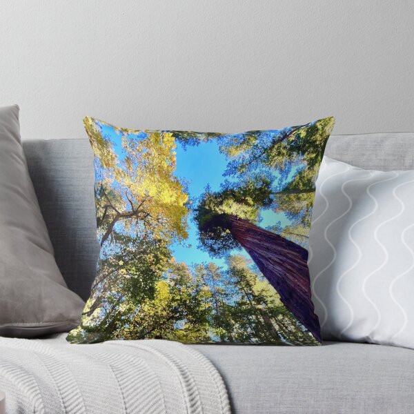 Item preview, Giant redwoods California designed and sold by Mark Malinowski.