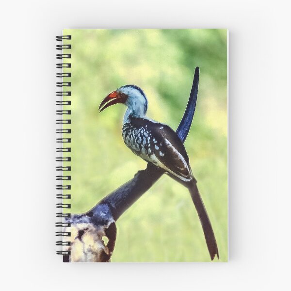 Item preview, Beautiful Bird in Kenya designed and sold by heatherfriedman.