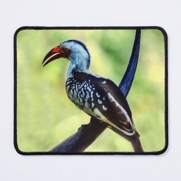 Item preview, Beautiful Bird in Kenya designed and sold by heatherfriedman.