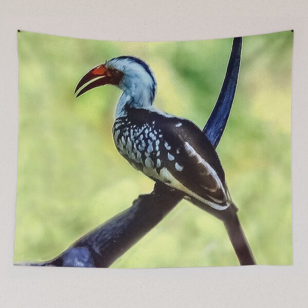 Item preview, Beautiful Bird in Kenya designed and sold by heatherfriedman.