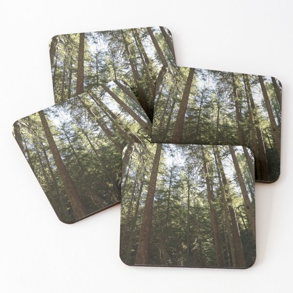 Item preview, Oregon forest, you are magical. - Into the forest, next to the trees. #2 designed and sold by artsychickphoto.