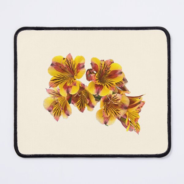 Item preview, Peruvian Lily (Alstroemeria) – Golden Tiger Stripe Bloom designed and sold by jglobal360.