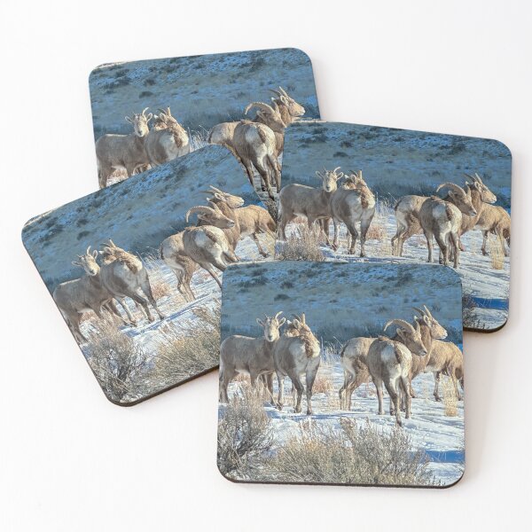 Item preview, How Are EWE Doing?  designed and sold by WildHorizon728.