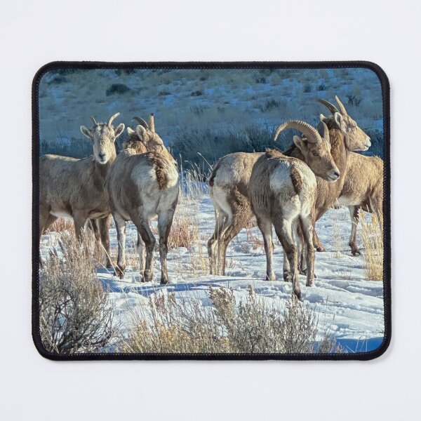 Item preview, How Are EWE Doing? designed and sold by WildHorizon728.