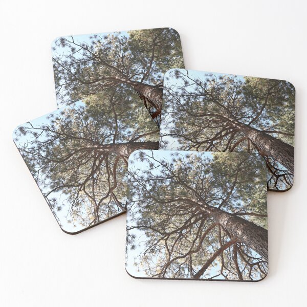 Item preview, In Bend, Oregon, these Beautiful trees!  designed and sold by artsychickphoto.