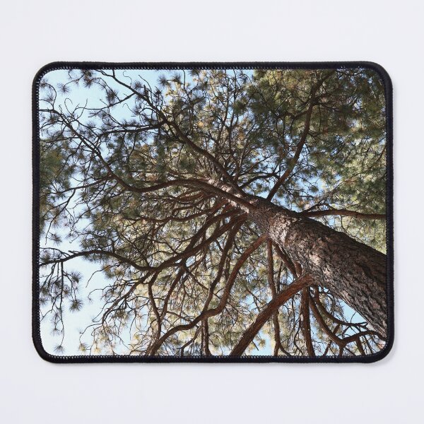 Item preview, In Bend, Oregon, these Beautiful trees! designed and sold by artsychickphoto.