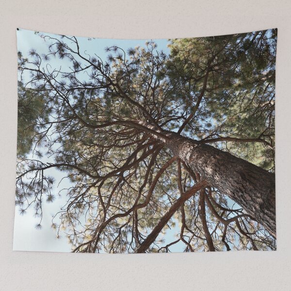 Item preview, In Bend, Oregon, these Beautiful trees!  designed and sold by artsychickphoto.
