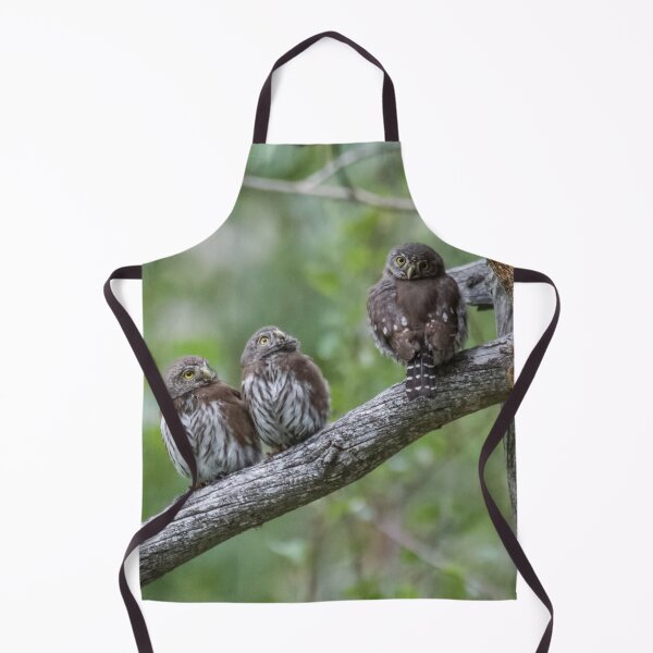 Item preview, Family of Northern Pygmy-Owls (part 2) designed and sold by Tahoe Trail Guide.