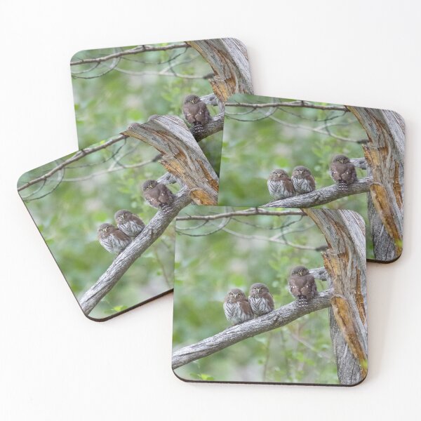Item preview, Family of Northern Pygmy-Owls (part 1) designed and sold by Tahoe Trail Guide.