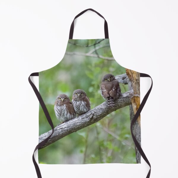 Item preview, Family of Northern Pygmy-Owls (part 1) designed and sold by Tahoe Trail Guide.