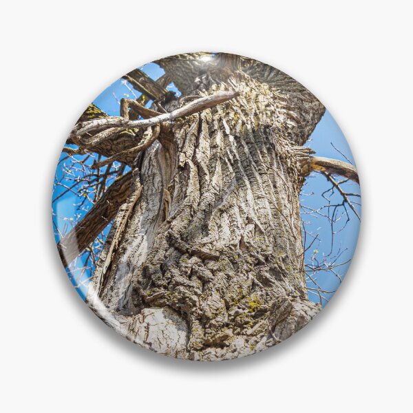 Item preview, The tree awaits the leaves. designed and sold by Joel Bader.