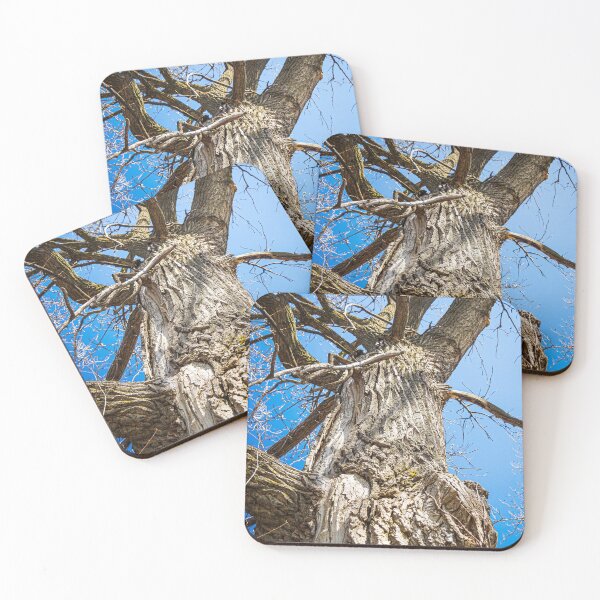 Item preview, The tree awaits the leaves. designed and sold by Joel Bader.