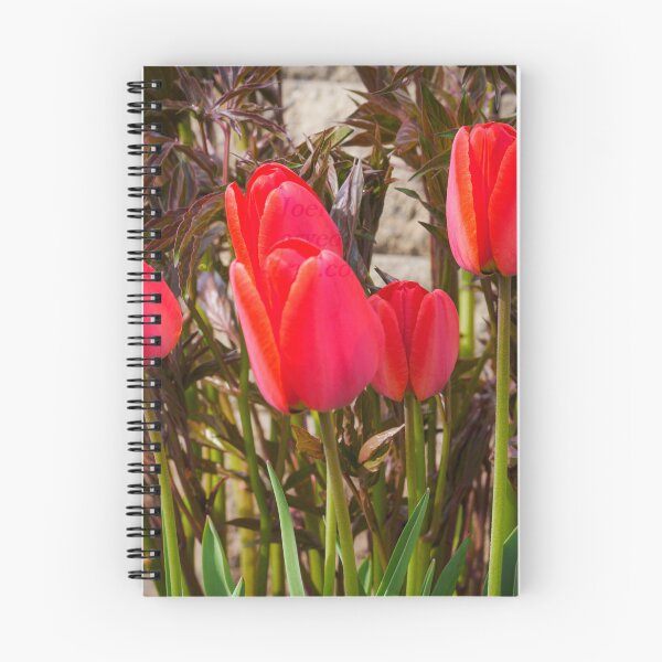 Item preview, A red quintet of tulips designed and sold by Joel Bader.