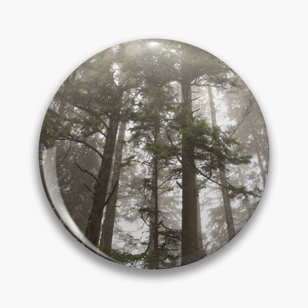 Item preview, Washington rainforest, perfect timing designed and sold by artsychickphoto.