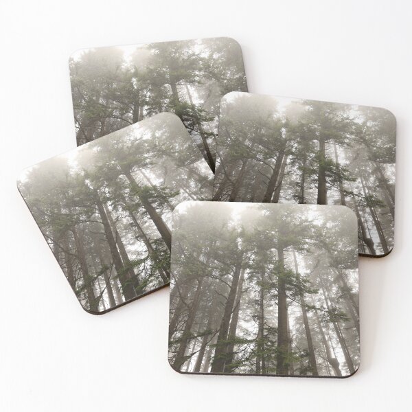 Item preview, Washington rainforest, perfect timing designed and sold by artsychickphoto.