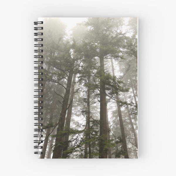 Item preview, Washington rainforest, perfect timing designed and sold by artsychickphoto.